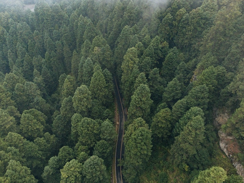 Impatto ambientale ridotto